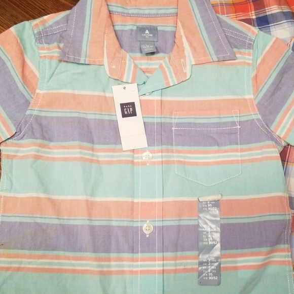 2T Oxford Bundle - Picture 2 of 4